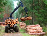 Application Forestry